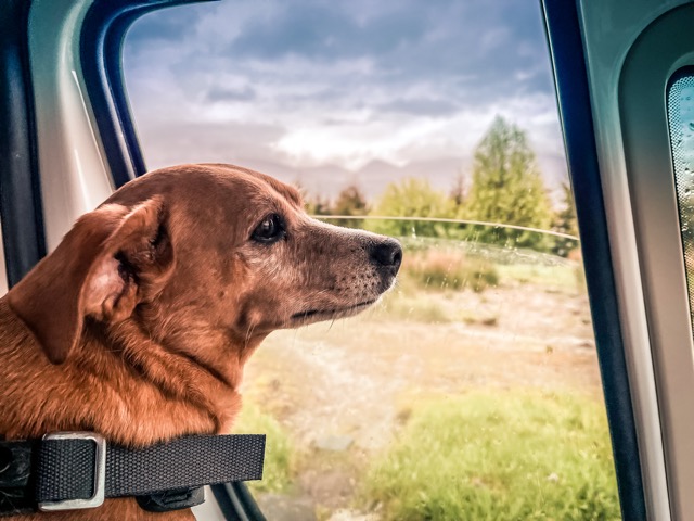 Nana gebießt die Aussicht