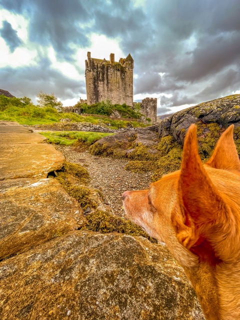 Momo am Eilean Donan Castle