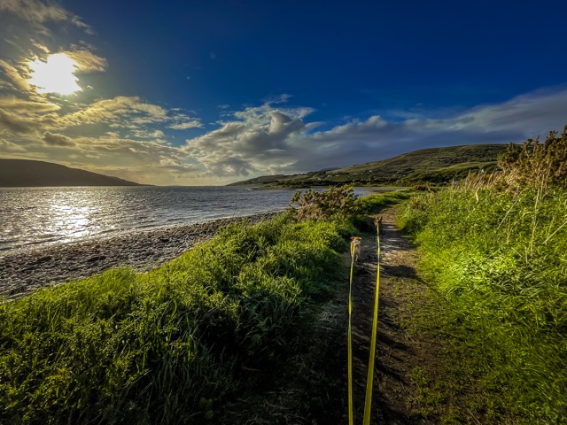 Spaziegang im südlichen Teil Schottlands
