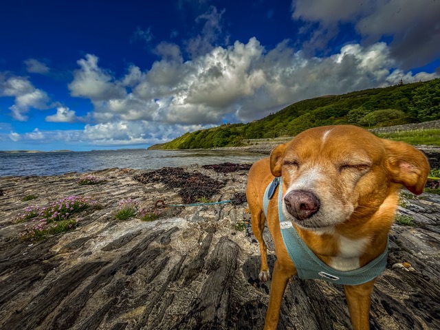 In der Nähe von Tongue, Northern Scotland