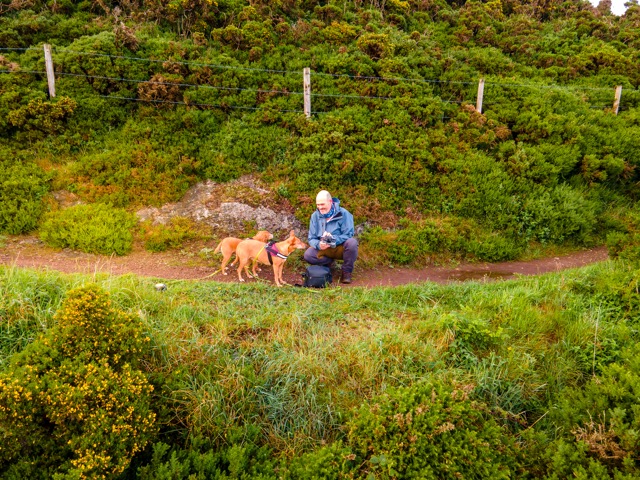 Spaziergang am Castle Point Caravan Park