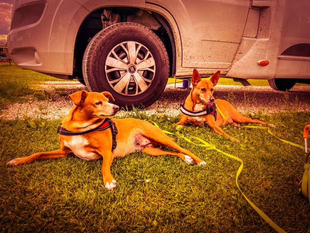 Chillen in Mittelengland...